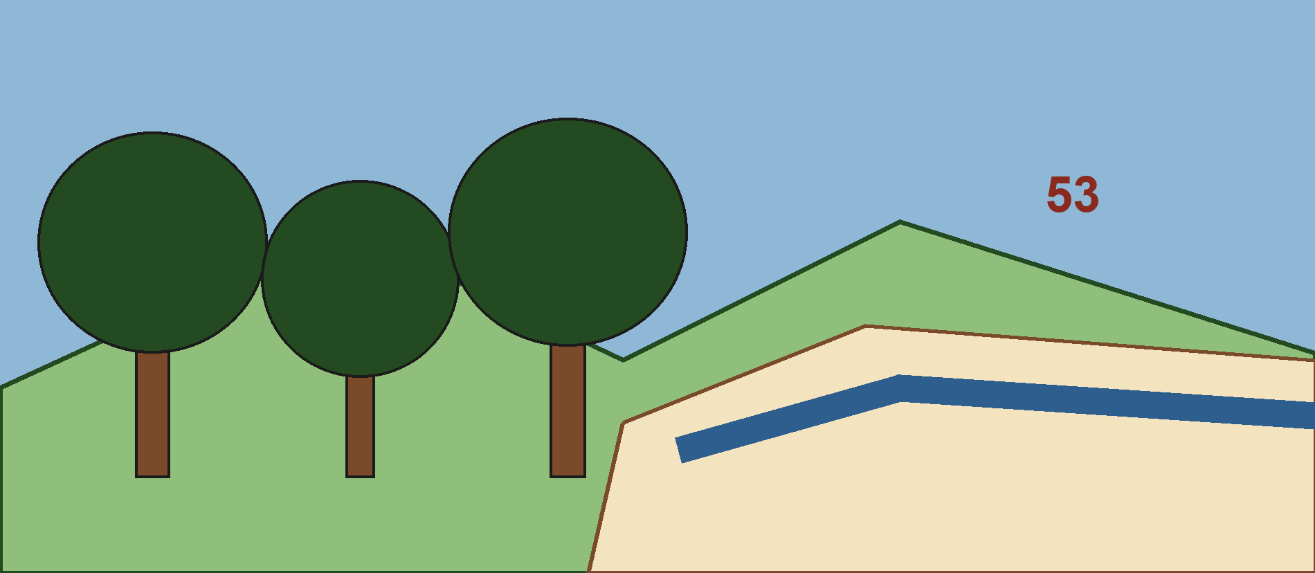 Une forêt sans personnage central descend d’une paroi de racines vers un rivage ; l’écorce, la lumière et la mer appartiennent à une même continuité de terrain.