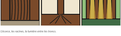 Trois vignettes : des écorces, des racines et une lumière qui traverse les troncs.